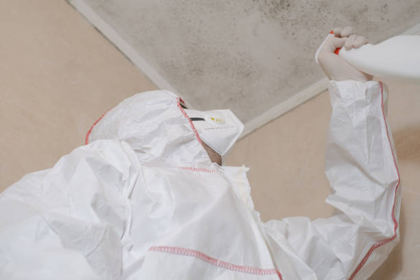 Best Commercial Mold Remediation in Bay City, OR